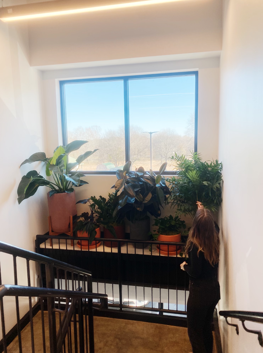 The Health Benefits of Indoor Plants | Flora