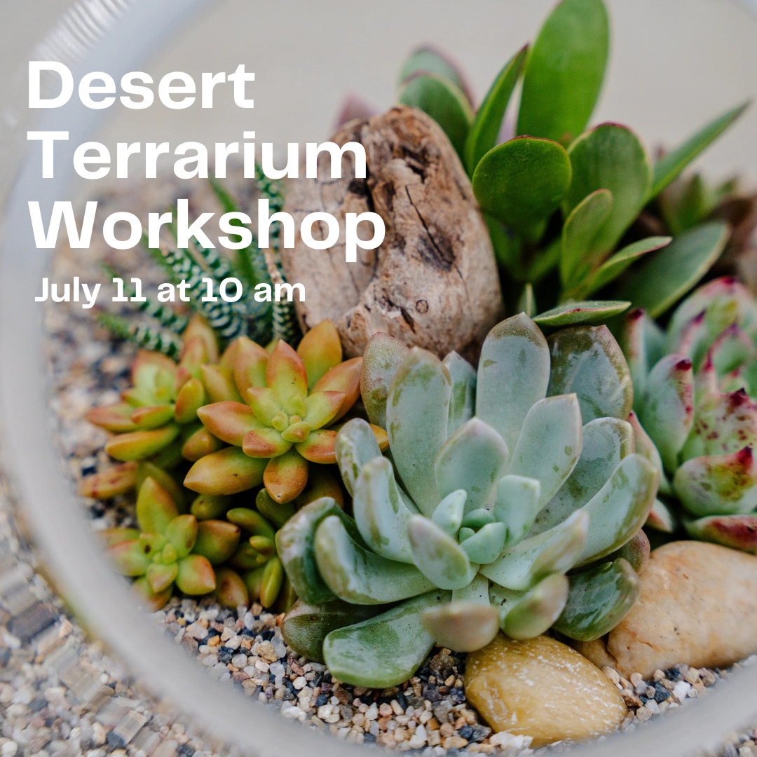 Workshops + Events | Flora